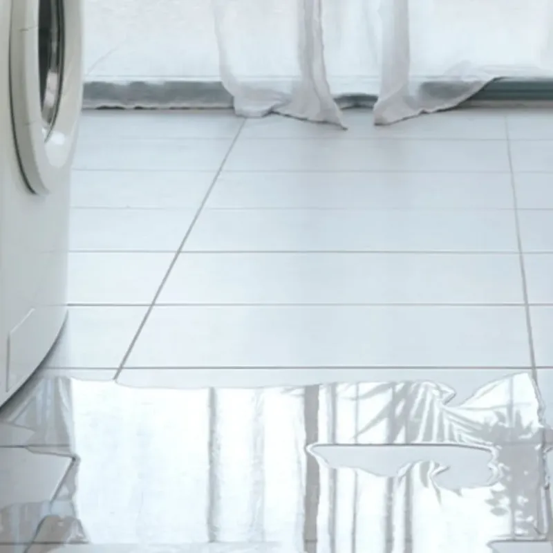 Appliance Leak Cleanup in Athens, TX