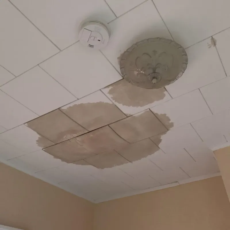 Ceiling Water Damage Repair in Athens, TX