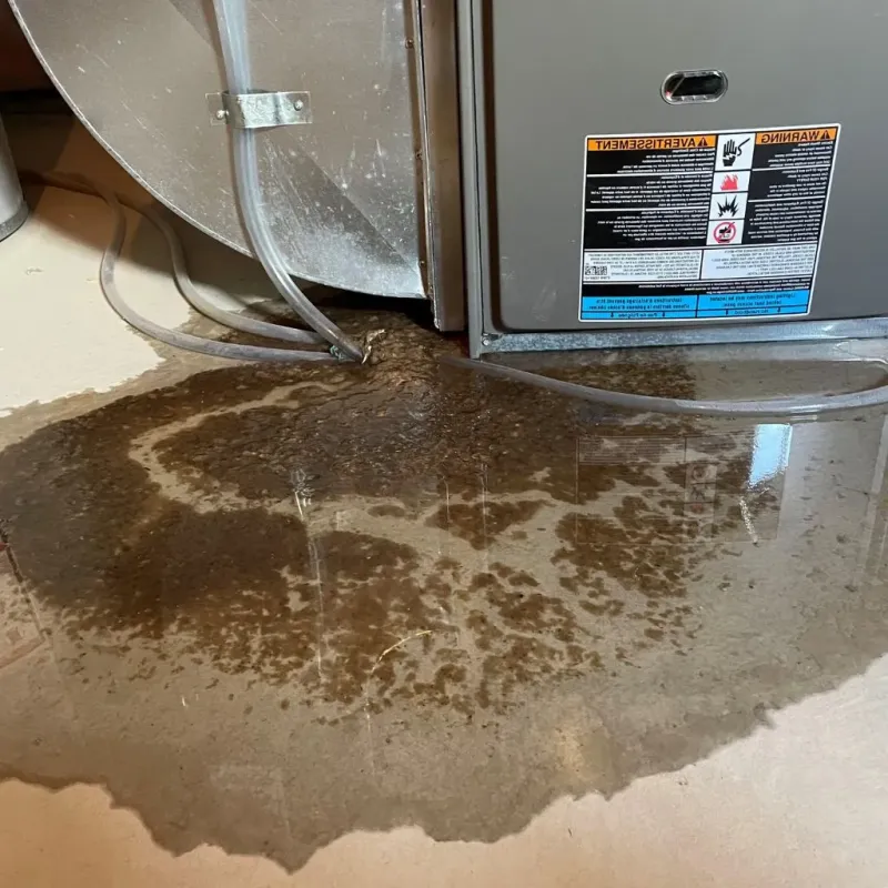 Pipe Burst and Leak Restoration in Athens, TX