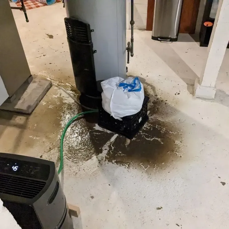 Sewage Backup Cleanup Service in Athens, TX